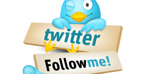 Twitter Follow Me