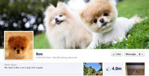 Boo's Facebook Page